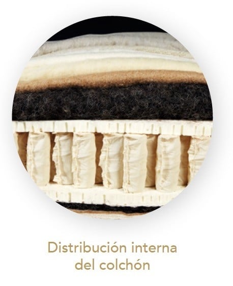 Matalàs Royal Arte Motion | Dunlopillo - Imatge 5